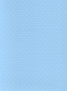 Пленка Alkorplan Xtreme Blue Fresh голубой 1.65х25 фото